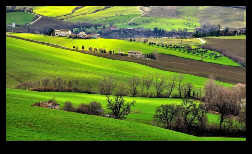 Yuvarlanan Tepeler ve Pastoral Manzaralar: Kırsal Manzaralar Ortaya Çıktı